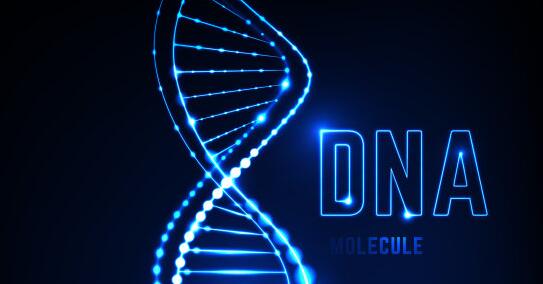 DNA亲子鉴定如何对样本进行检测