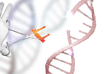 佛山什么地方能做DNA亲子鉴定