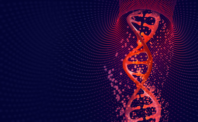 深圳什么医院可以用头发验DNA鉴定